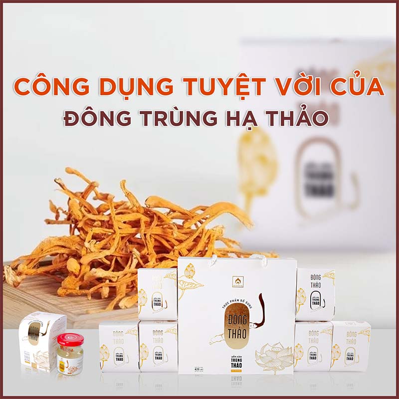 nuoc_yen_dong_trung_ha_thao